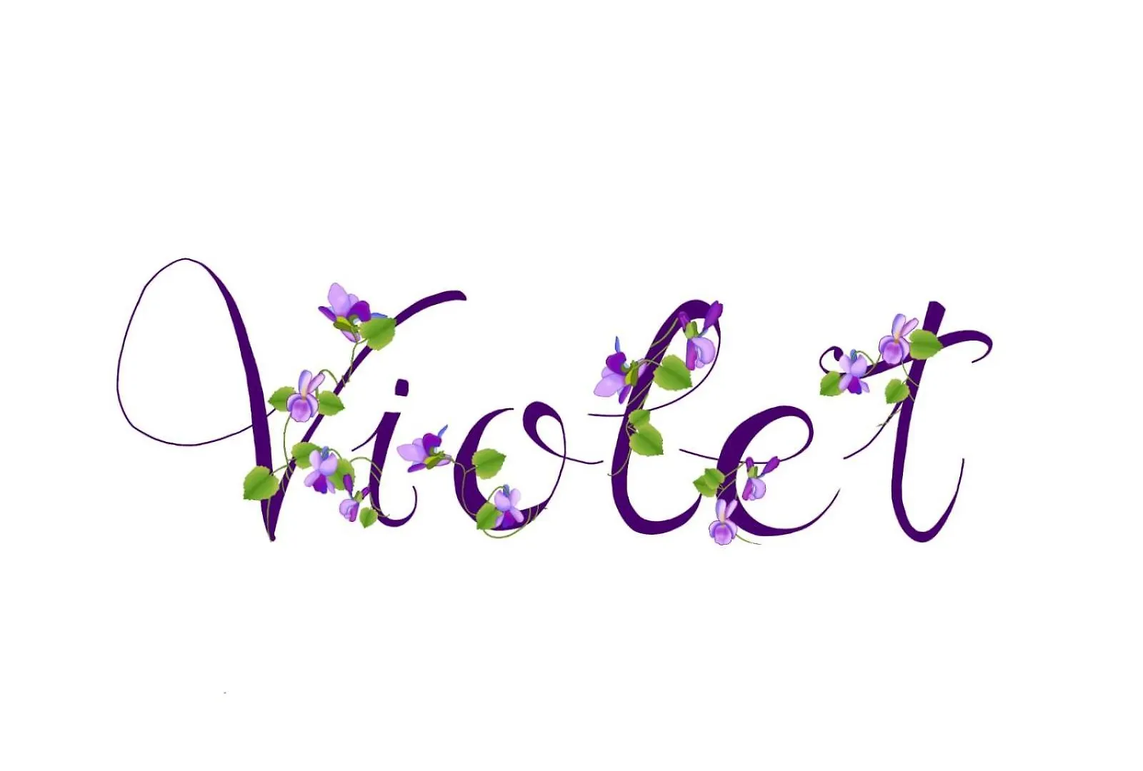 公寓 Appartamento Violet - 帕爾馬